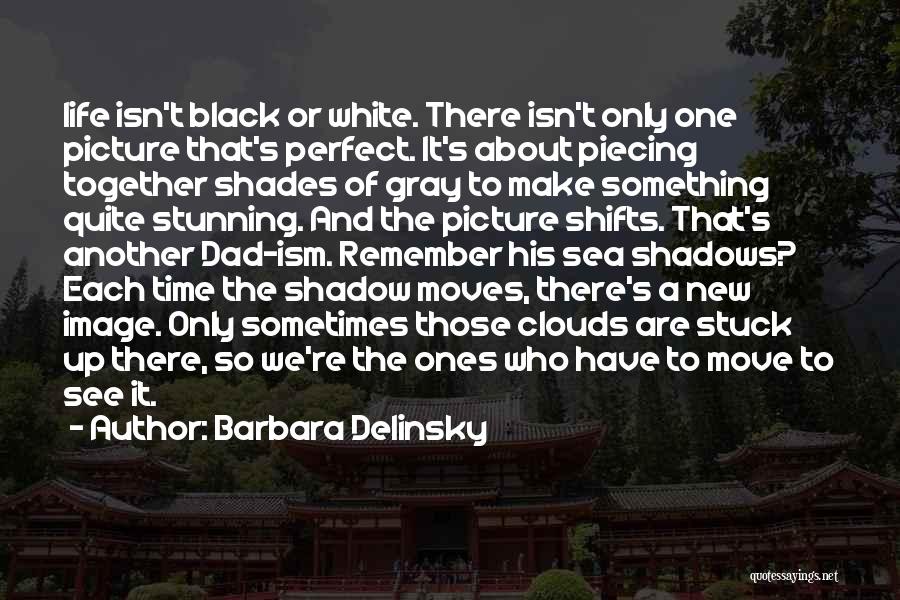 Barbara Delinsky Quotes: Life Isn't Black Or White. There Isn't Only One Picture That's Perfect. It's About Piecing Together Shades Of Gray To
