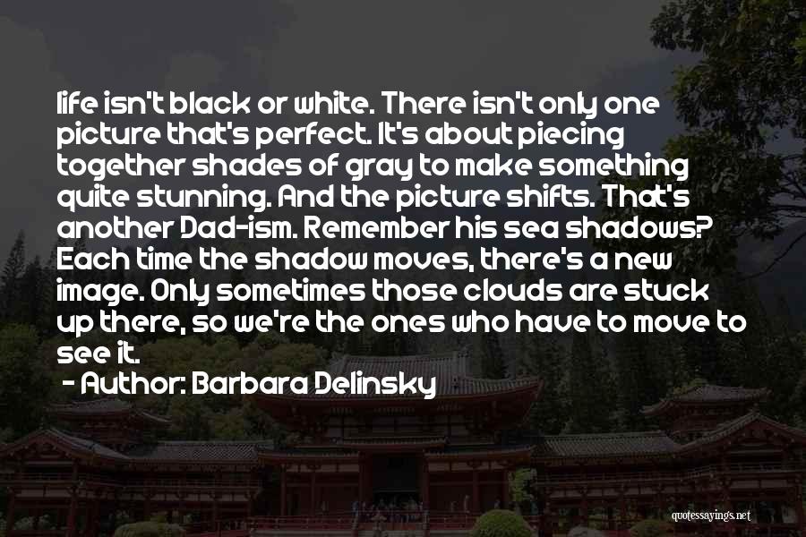 Barbara Delinsky Quotes: Life Isn't Black Or White. There Isn't Only One Picture That's Perfect. It's About Piecing Together Shades Of Gray To