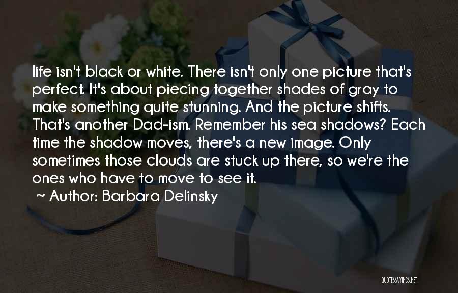 Barbara Delinsky Quotes: Life Isn't Black Or White. There Isn't Only One Picture That's Perfect. It's About Piecing Together Shades Of Gray To