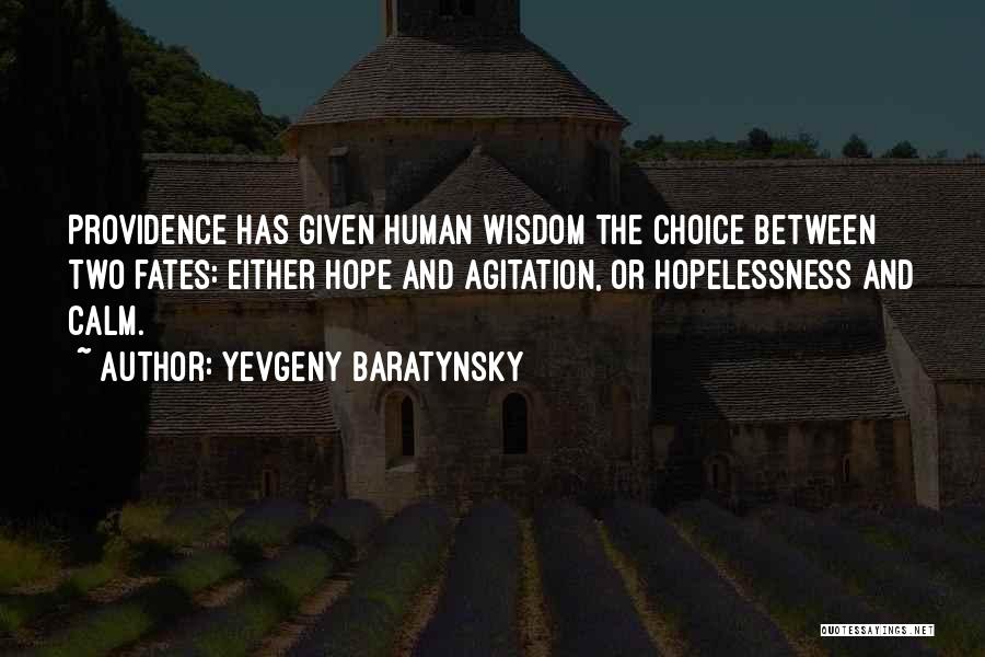 Yevgeny Baratynsky Quotes: Providence Has Given Human Wisdom The Choice Between Two Fates: Either Hope And Agitation, Or Hopelessness And Calm.