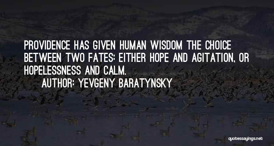 Yevgeny Baratynsky Quotes: Providence Has Given Human Wisdom The Choice Between Two Fates: Either Hope And Agitation, Or Hopelessness And Calm.