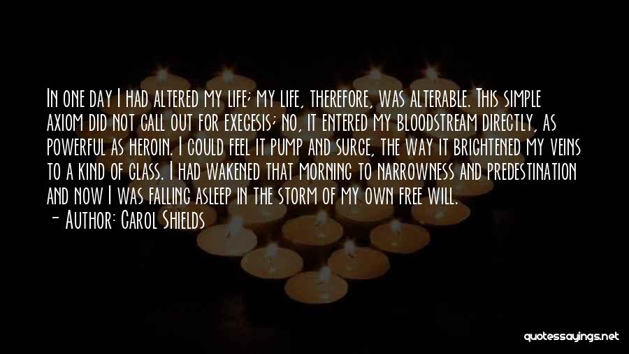 Carol Shields Quotes: In One Day I Had Altered My Life; My Life, Therefore, Was Alterable. This Simple Axiom Did Not Call Out