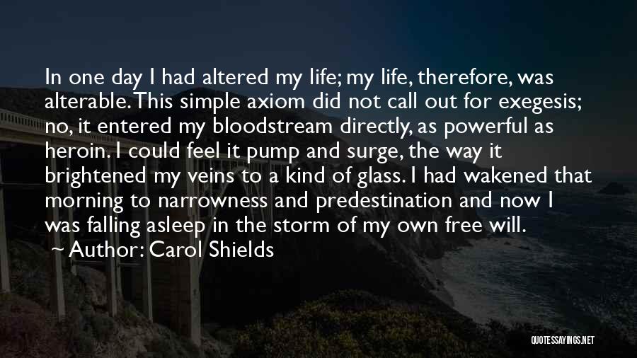 Carol Shields Quotes: In One Day I Had Altered My Life; My Life, Therefore, Was Alterable. This Simple Axiom Did Not Call Out