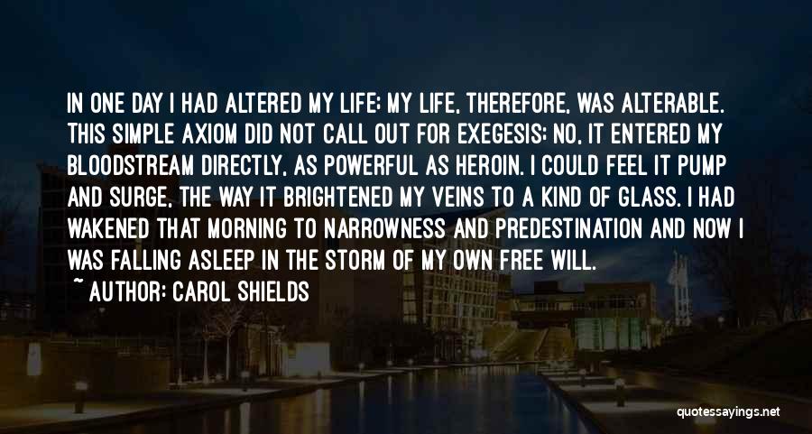 Carol Shields Quotes: In One Day I Had Altered My Life; My Life, Therefore, Was Alterable. This Simple Axiom Did Not Call Out