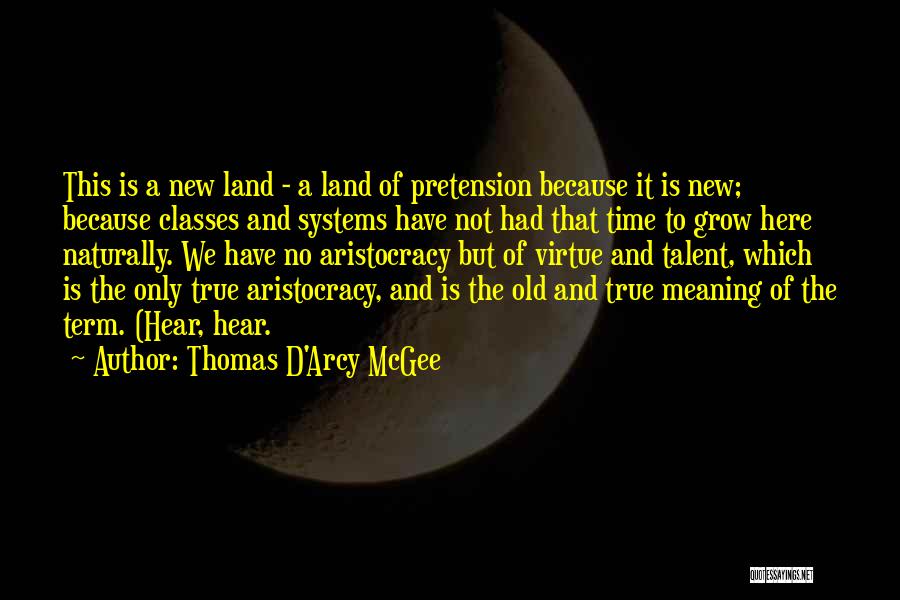 Thomas D'Arcy McGee Quotes: This Is A New Land - A Land Of Pretension Because It Is New; Because Classes And Systems Have Not
