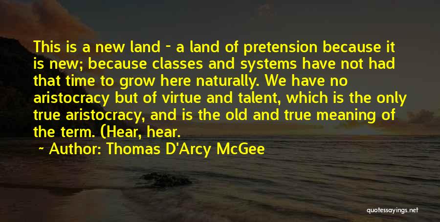 Thomas D'Arcy McGee Quotes: This Is A New Land - A Land Of Pretension Because It Is New; Because Classes And Systems Have Not