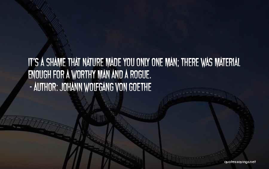 Johann Wolfgang Von Goethe Quotes: It's A Shame That Nature Made You Only One Man; There Was Material Enough For A Worthy Man And A