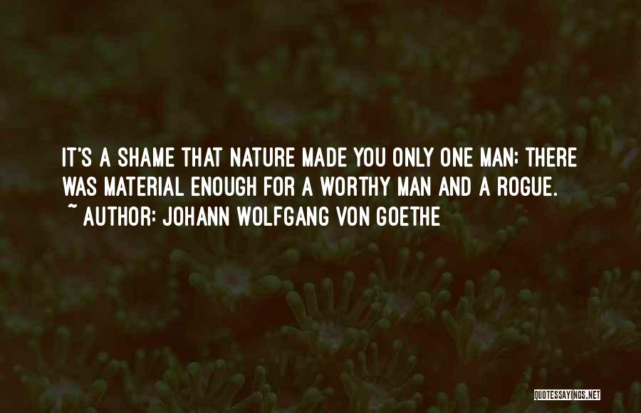 Johann Wolfgang Von Goethe Quotes: It's A Shame That Nature Made You Only One Man; There Was Material Enough For A Worthy Man And A