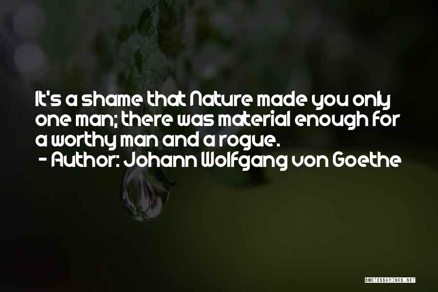Johann Wolfgang Von Goethe Quotes: It's A Shame That Nature Made You Only One Man; There Was Material Enough For A Worthy Man And A