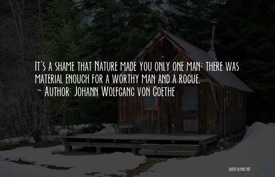 Johann Wolfgang Von Goethe Quotes: It's A Shame That Nature Made You Only One Man; There Was Material Enough For A Worthy Man And A