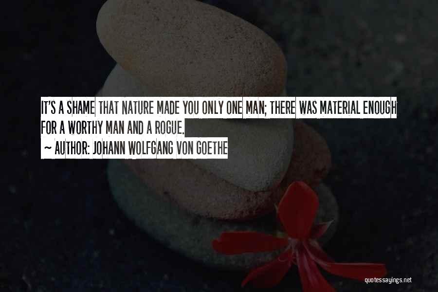 Johann Wolfgang Von Goethe Quotes: It's A Shame That Nature Made You Only One Man; There Was Material Enough For A Worthy Man And A