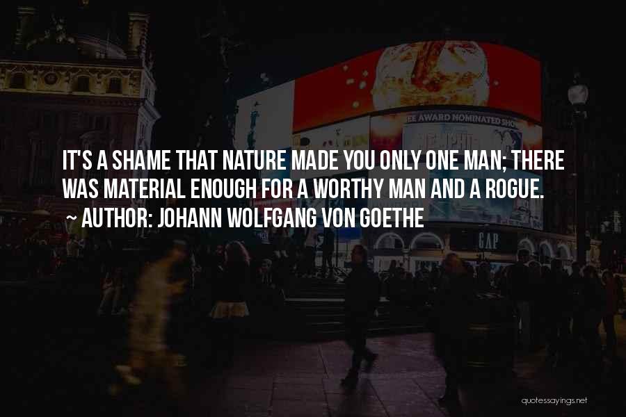 Johann Wolfgang Von Goethe Quotes: It's A Shame That Nature Made You Only One Man; There Was Material Enough For A Worthy Man And A