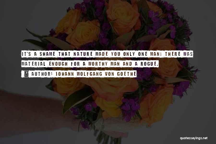 Johann Wolfgang Von Goethe Quotes: It's A Shame That Nature Made You Only One Man; There Was Material Enough For A Worthy Man And A