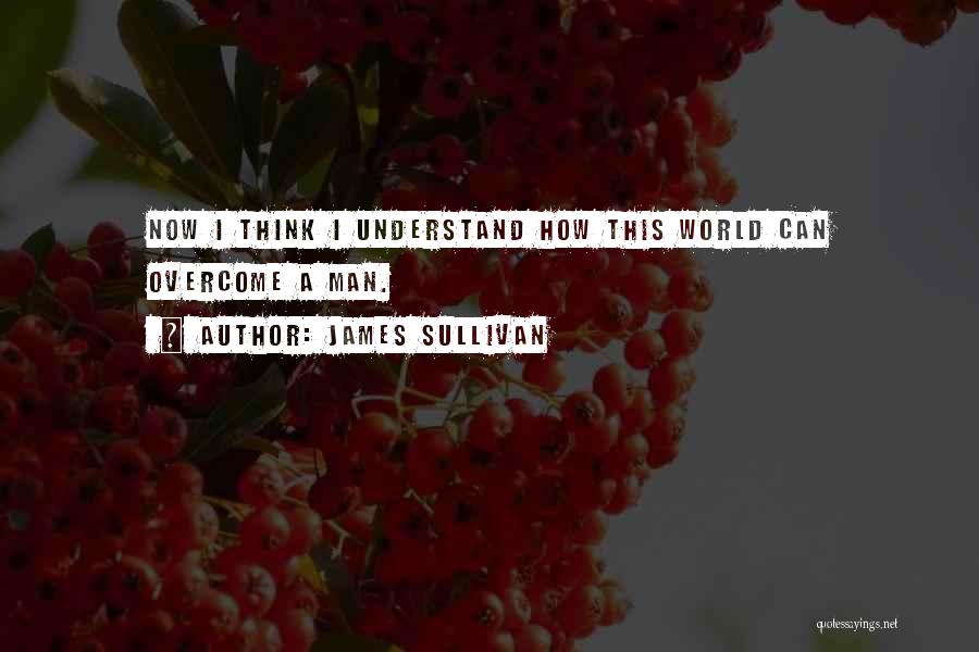 James Sullivan Quotes: Now I Think I Understand How This World Can Overcome A Man.
