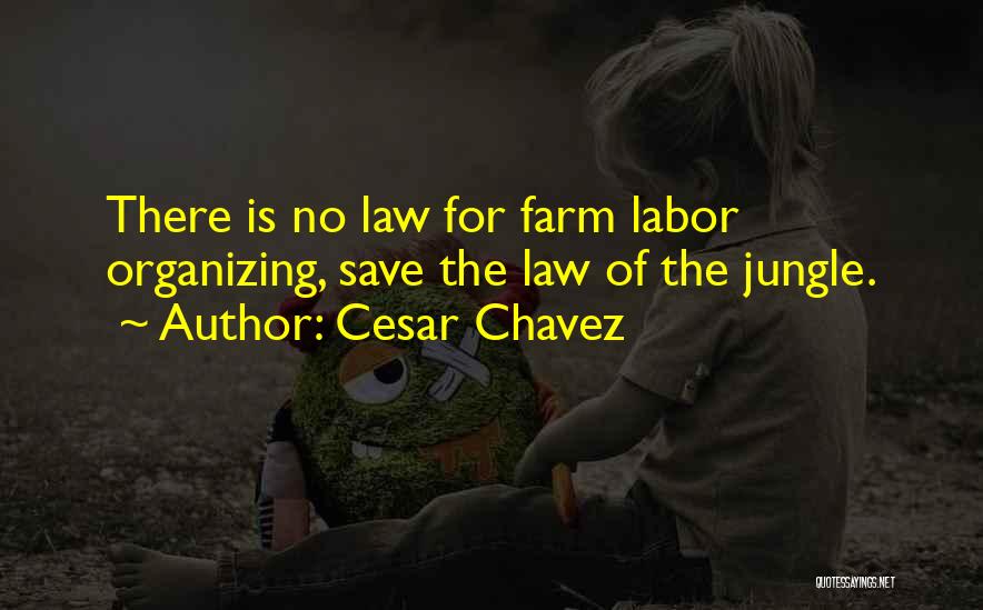 Cesar Chavez Quotes: There Is No Law For Farm Labor Organizing, Save The Law Of The Jungle.