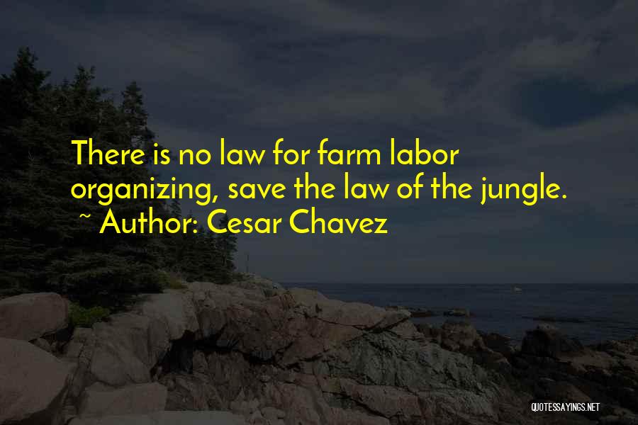 Cesar Chavez Quotes: There Is No Law For Farm Labor Organizing, Save The Law Of The Jungle.