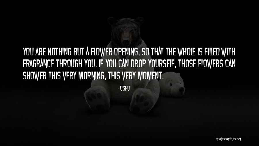 2029 Meteor Quotes By Osho 2029 Meteor Quotes By Osho