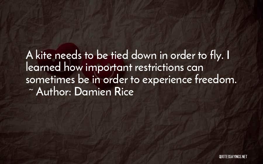 Damien Rice Quotes: A Kite Needs To Be Tied Down In Order To Fly. I Learned How Important Restrictions Can Sometimes Be In