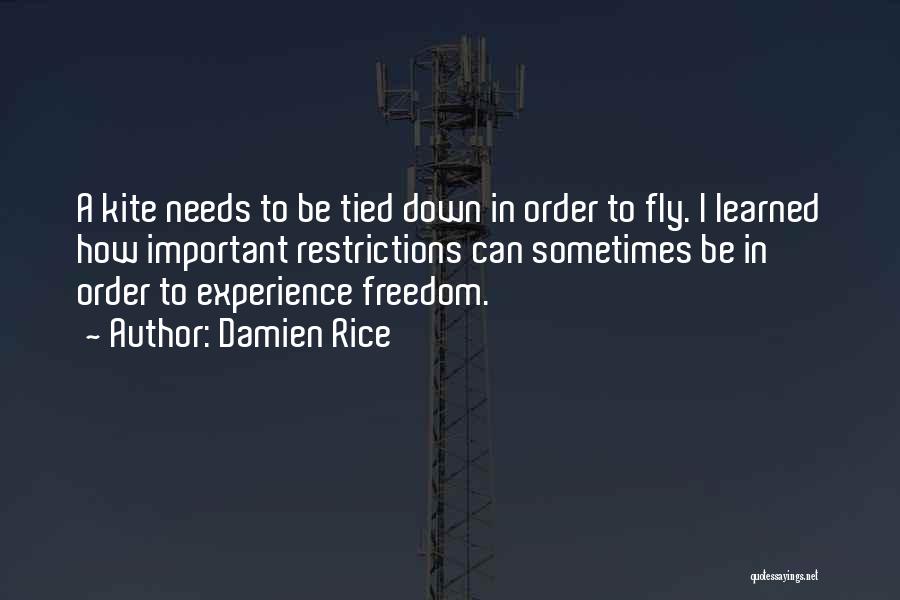 Damien Rice Quotes: A Kite Needs To Be Tied Down In Order To Fly. I Learned How Important Restrictions Can Sometimes Be In