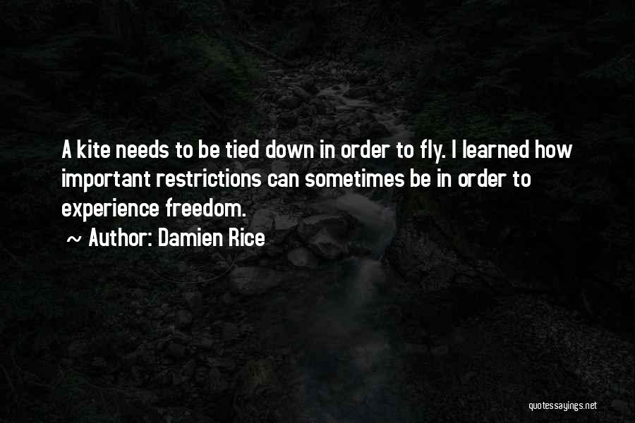 Damien Rice Quotes: A Kite Needs To Be Tied Down In Order To Fly. I Learned How Important Restrictions Can Sometimes Be In