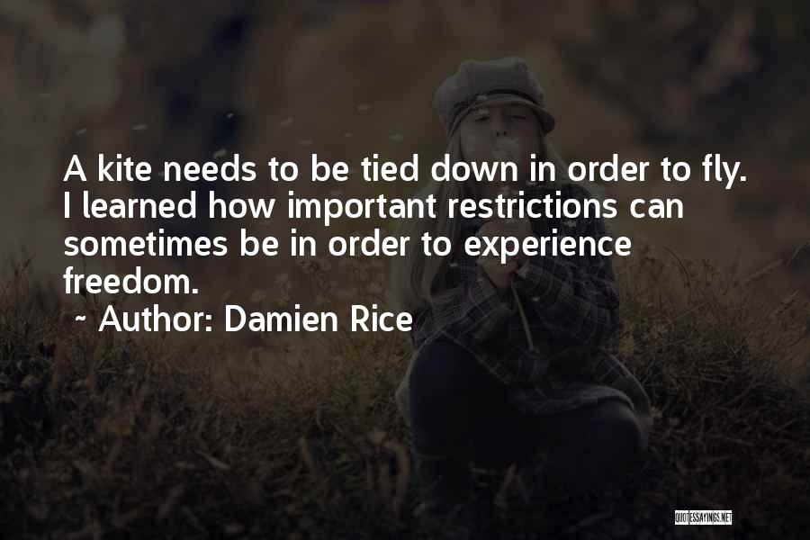 Damien Rice Quotes: A Kite Needs To Be Tied Down In Order To Fly. I Learned How Important Restrictions Can Sometimes Be In