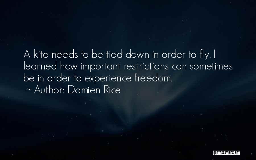 Damien Rice Quotes: A Kite Needs To Be Tied Down In Order To Fly. I Learned How Important Restrictions Can Sometimes Be In