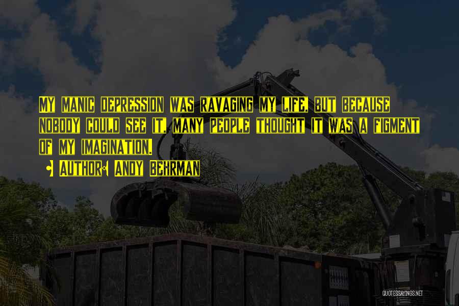 Andy Behrman Quotes: My Manic Depression Was Ravaging My Life, But Because Nobody Could See It, Many People Thought It Was A Figment