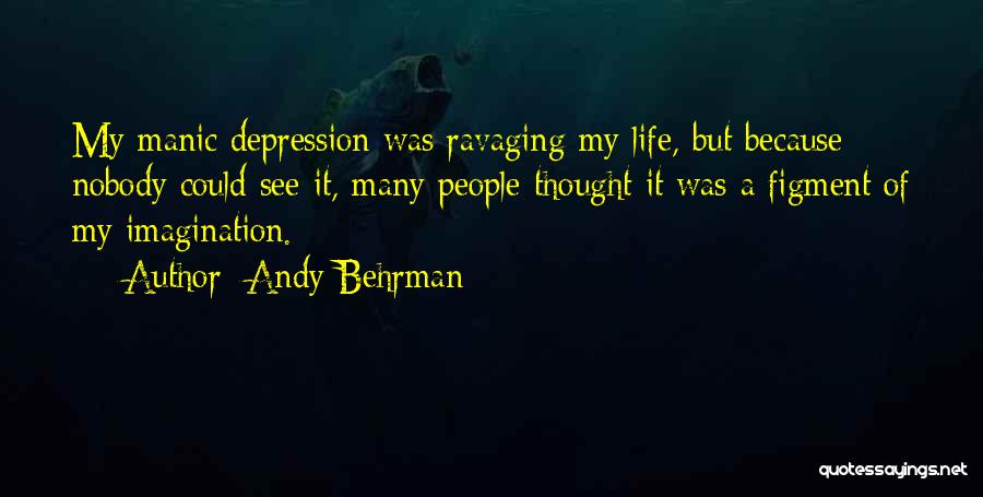 Andy Behrman Quotes: My Manic Depression Was Ravaging My Life, But Because Nobody Could See It, Many People Thought It Was A Figment