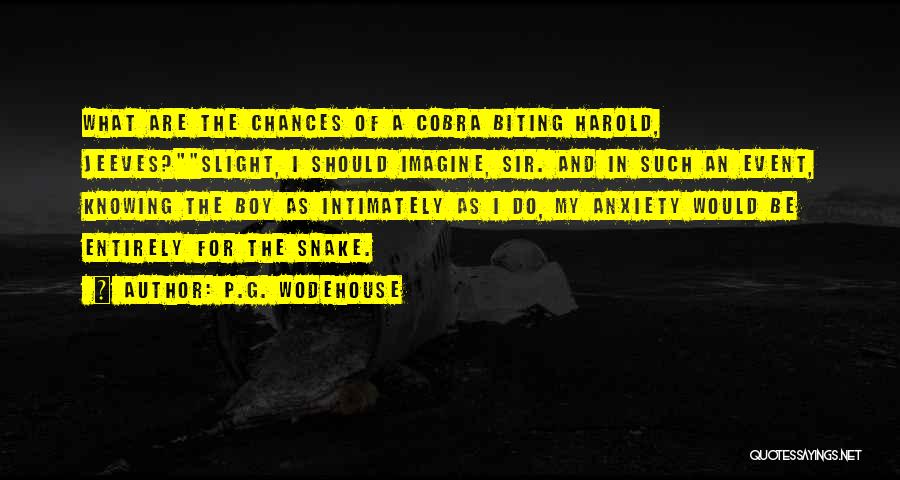 P.G. Wodehouse Quotes: What Are The Chances Of A Cobra Biting Harold, Jeeves?slight, I Should Imagine, Sir. And In Such An Event, Knowing