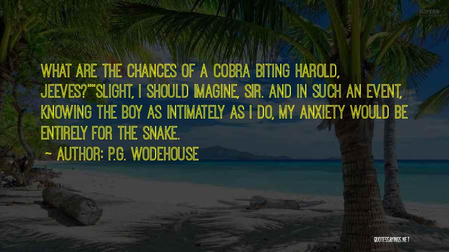 P.G. Wodehouse Quotes: What Are The Chances Of A Cobra Biting Harold, Jeeves?slight, I Should Imagine, Sir. And In Such An Event, Knowing