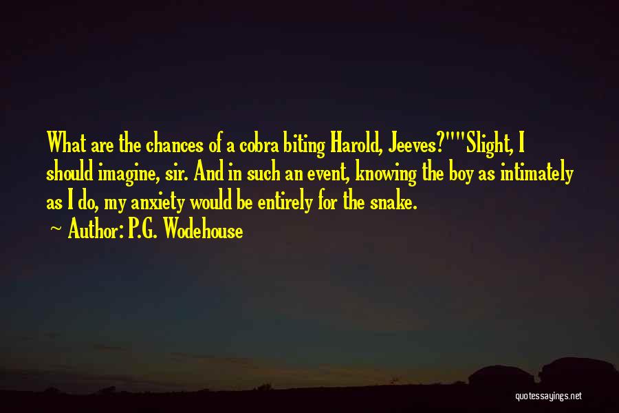 P.G. Wodehouse Quotes: What Are The Chances Of A Cobra Biting Harold, Jeeves?slight, I Should Imagine, Sir. And In Such An Event, Knowing