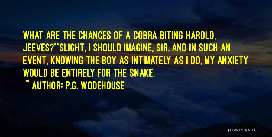 P.G. Wodehouse Quotes: What Are The Chances Of A Cobra Biting Harold, Jeeves?slight, I Should Imagine, Sir. And In Such An Event, Knowing