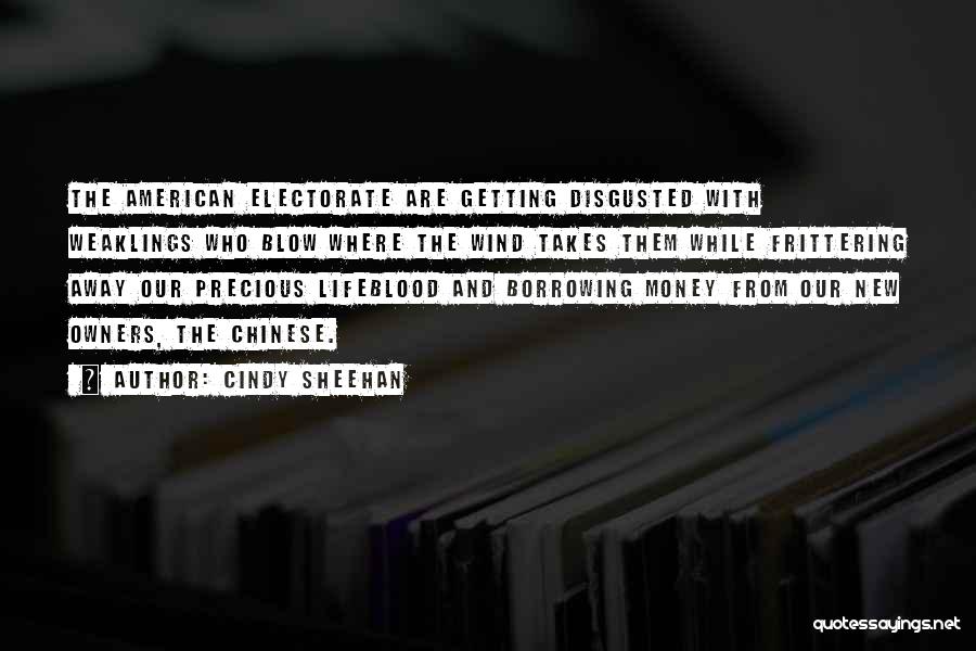 Cindy Sheehan Quotes: The American Electorate Are Getting Disgusted With Weaklings Who Blow Where The Wind Takes Them While Frittering Away Our Precious