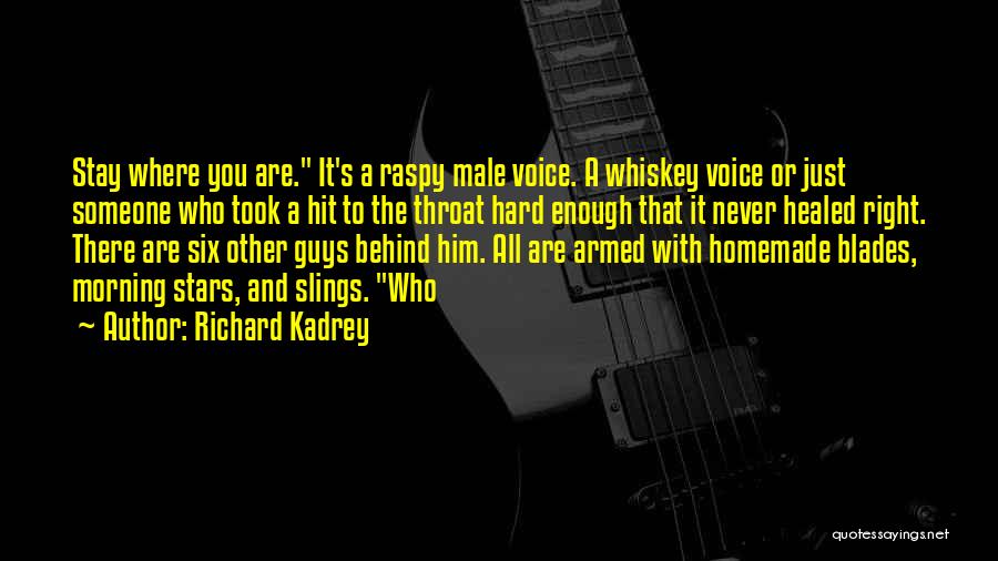 Richard Kadrey Quotes: Stay Where You Are. It's A Raspy Male Voice. A Whiskey Voice Or Just Someone Who Took A Hit To