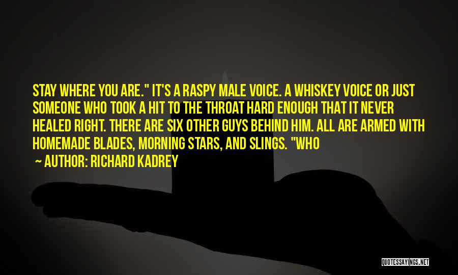 Richard Kadrey Quotes: Stay Where You Are. It's A Raspy Male Voice. A Whiskey Voice Or Just Someone Who Took A Hit To