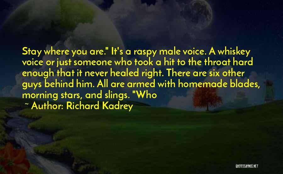 Richard Kadrey Quotes: Stay Where You Are. It's A Raspy Male Voice. A Whiskey Voice Or Just Someone Who Took A Hit To