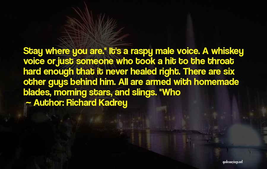 Richard Kadrey Quotes: Stay Where You Are. It's A Raspy Male Voice. A Whiskey Voice Or Just Someone Who Took A Hit To