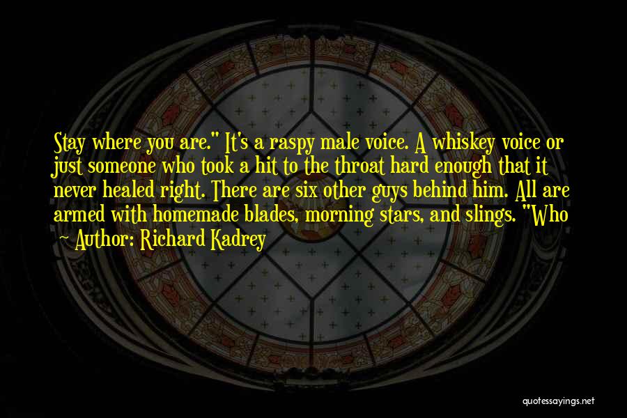 Richard Kadrey Quotes: Stay Where You Are. It's A Raspy Male Voice. A Whiskey Voice Or Just Someone Who Took A Hit To