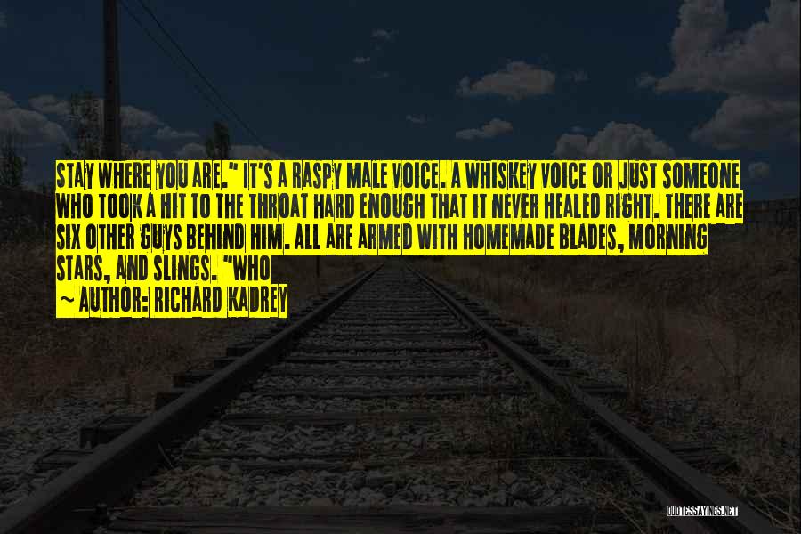 Richard Kadrey Quotes: Stay Where You Are. It's A Raspy Male Voice. A Whiskey Voice Or Just Someone Who Took A Hit To