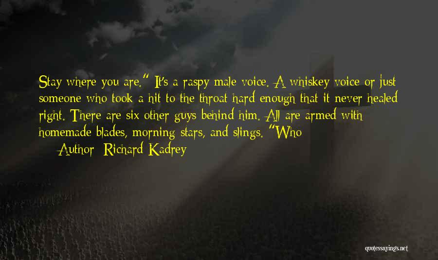 Richard Kadrey Quotes: Stay Where You Are. It's A Raspy Male Voice. A Whiskey Voice Or Just Someone Who Took A Hit To