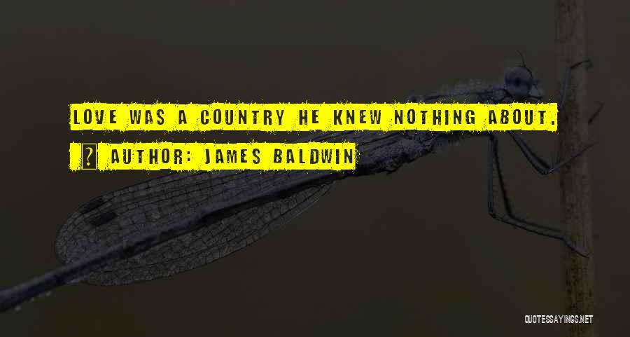 James Baldwin Quotes: Love Was A Country He Knew Nothing About.