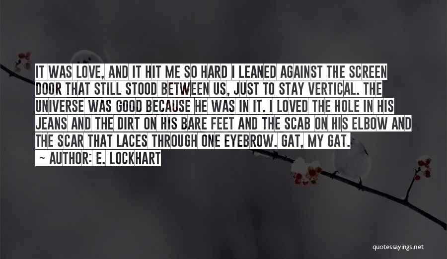E. Lockhart Quotes: It Was Love, And It Hit Me So Hard I Leaned Against The Screen Door That Still Stood Between Us,