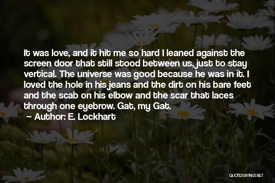 E. Lockhart Quotes: It Was Love, And It Hit Me So Hard I Leaned Against The Screen Door That Still Stood Between Us,