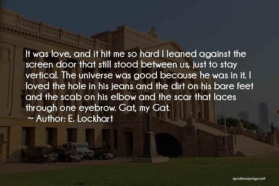 E. Lockhart Quotes: It Was Love, And It Hit Me So Hard I Leaned Against The Screen Door That Still Stood Between Us,