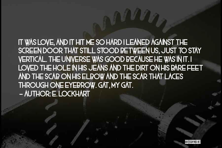E. Lockhart Quotes: It Was Love, And It Hit Me So Hard I Leaned Against The Screen Door That Still Stood Between Us,