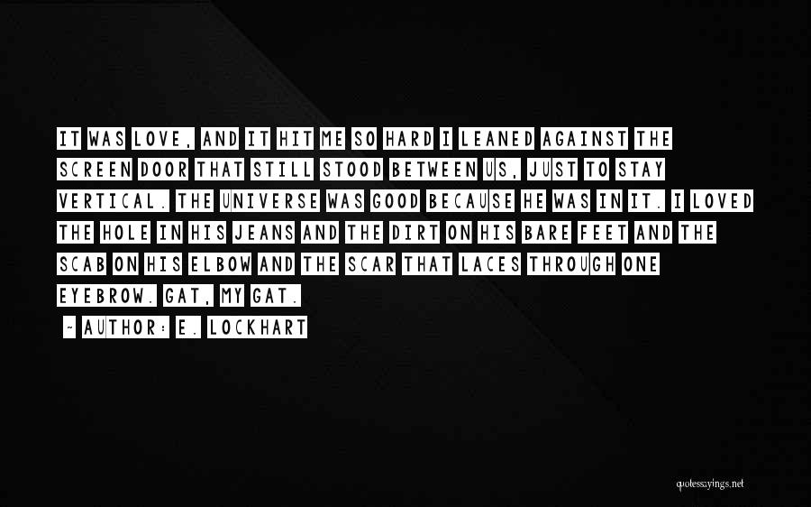 E. Lockhart Quotes: It Was Love, And It Hit Me So Hard I Leaned Against The Screen Door That Still Stood Between Us,