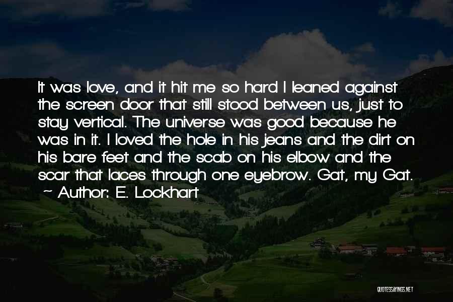 E. Lockhart Quotes: It Was Love, And It Hit Me So Hard I Leaned Against The Screen Door That Still Stood Between Us,