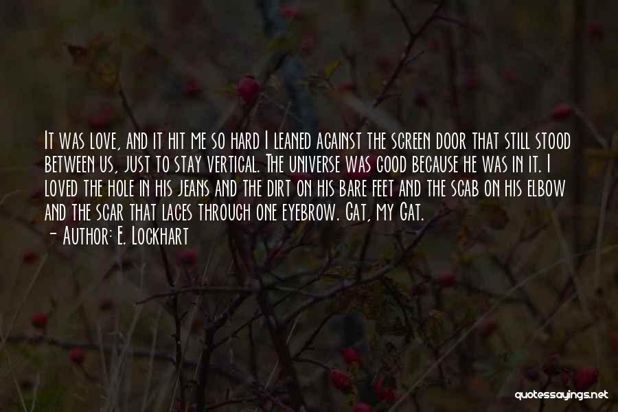 E. Lockhart Quotes: It Was Love, And It Hit Me So Hard I Leaned Against The Screen Door That Still Stood Between Us,