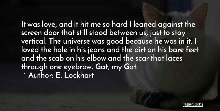 E. Lockhart Quotes: It Was Love, And It Hit Me So Hard I Leaned Against The Screen Door That Still Stood Between Us,