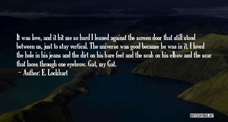 E. Lockhart Quotes: It Was Love, And It Hit Me So Hard I Leaned Against The Screen Door That Still Stood Between Us,